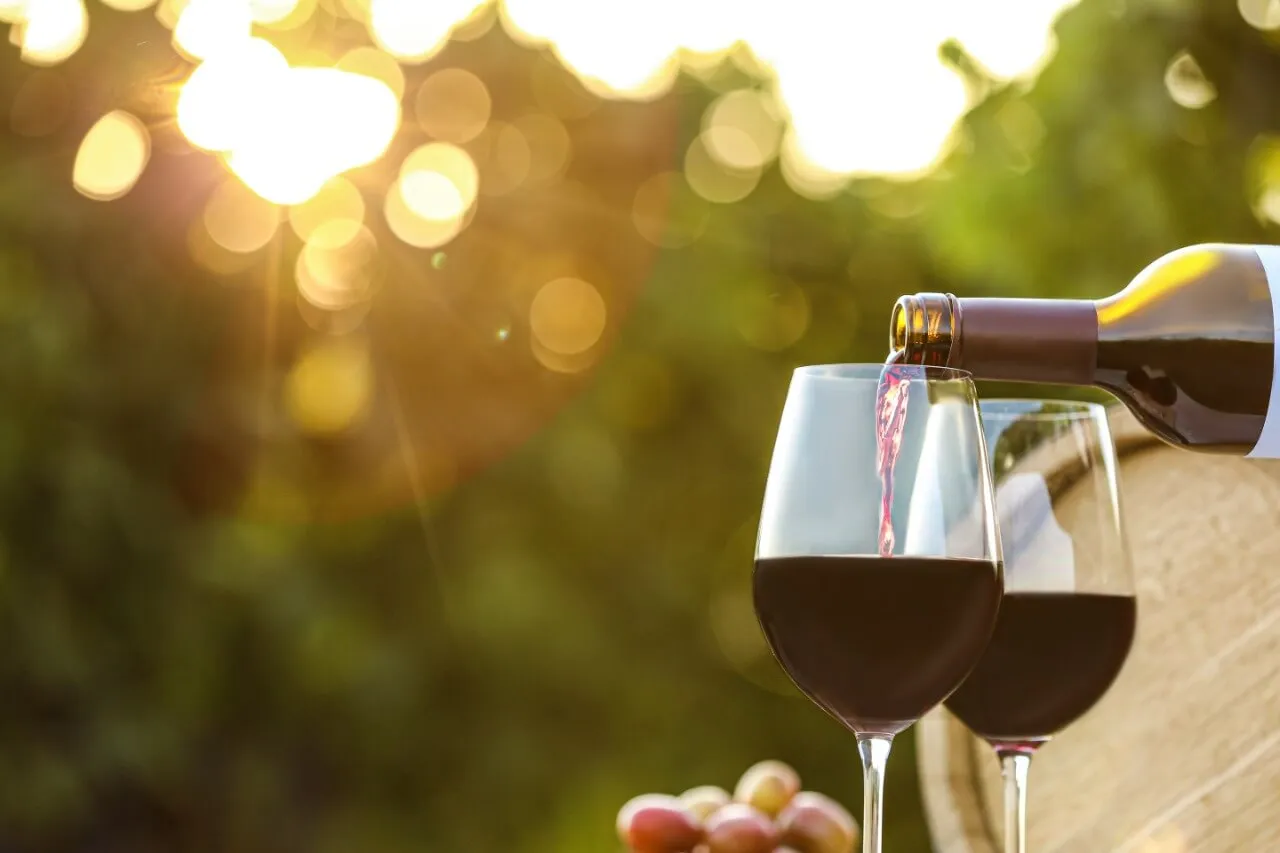 Diferencias entre Vino Merlot y Vino Sauvignon
