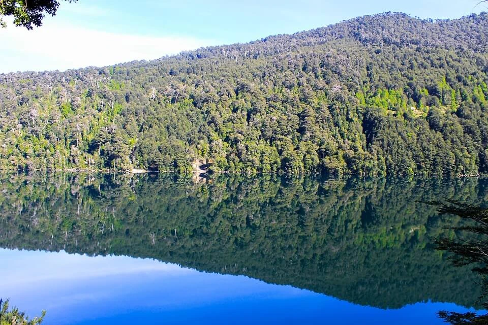 Lago y bosque parque nacional Huerqueuhe