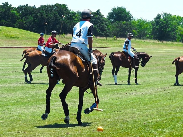 House Image of El mundo del polo en Chile: Una apasionante experiencia deportiva y social