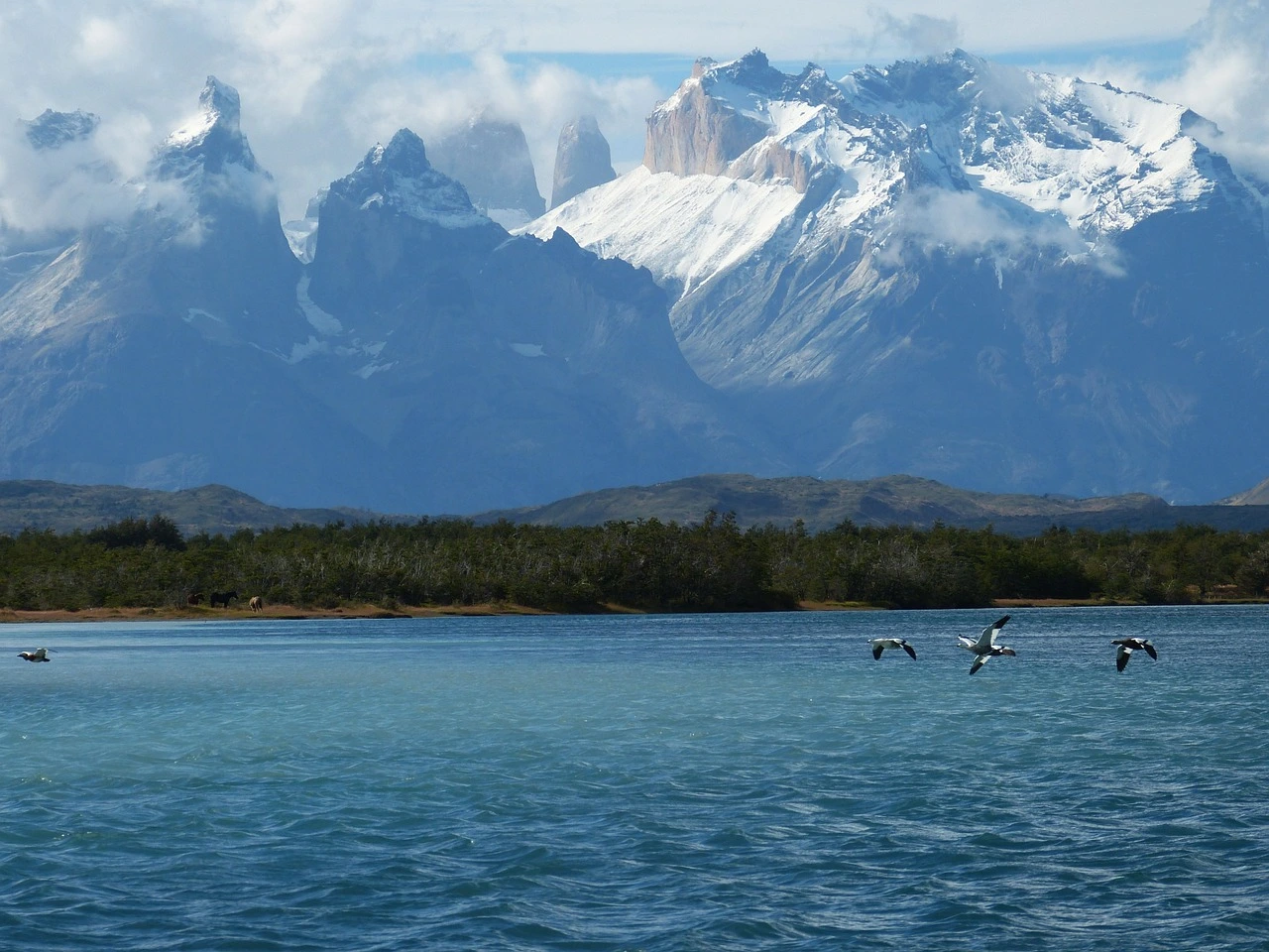 House Image of Senderos de Torres del Paine: Una guía para los amantes de la naturaleza y el trekking