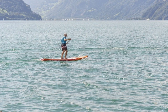 House Image of Conquista las olas: ¡Descubre el stand up paddle en Chile!