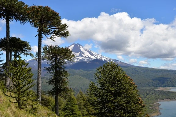 House Image of El Encanto del Sur: Vacaciones de Invierno en el Sur de Chile