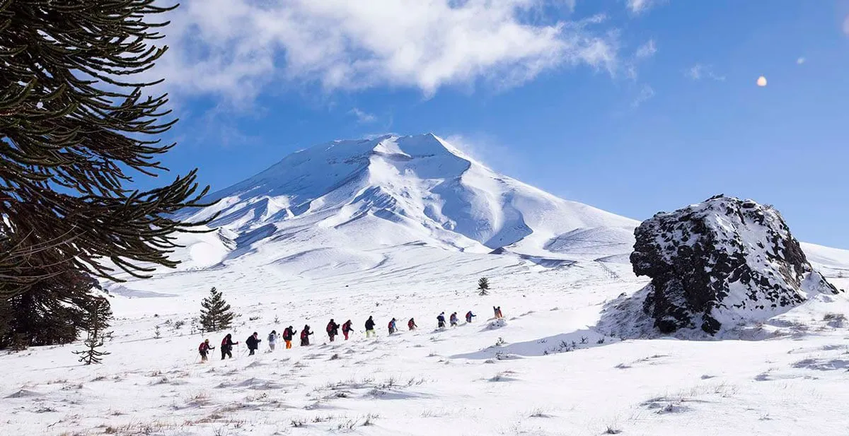 House Image of Malalcahuello: El refugio secreto de Chile y sus opciones de alojamiento