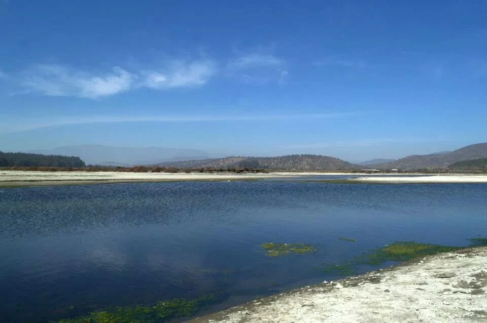 House Image of Arriendo Salinas de Pullally: Conoce 5 de las Mejores Casas con Vistas al Mar