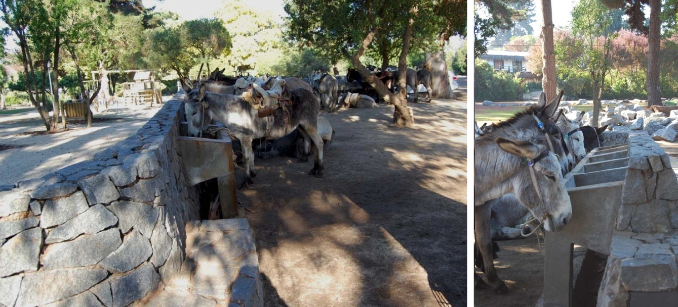 House Image of Plaza Los Burros en Cachagua: Un Encuentro con la Tranquilidad y la Belleza