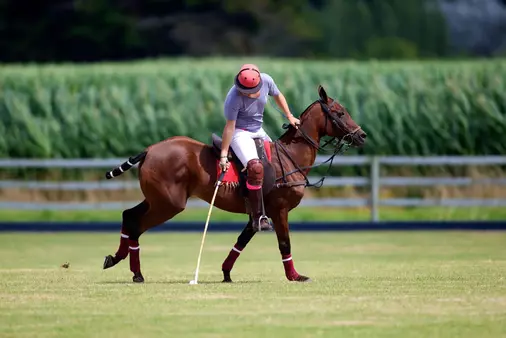 House Image of Polo in Chile: Delving into the World of Polo in Chile