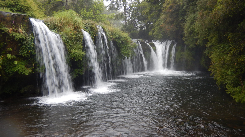 House Image of Visita Saltos del Pichi Ignao en Lago Ranco: La maravilla escondida del sur