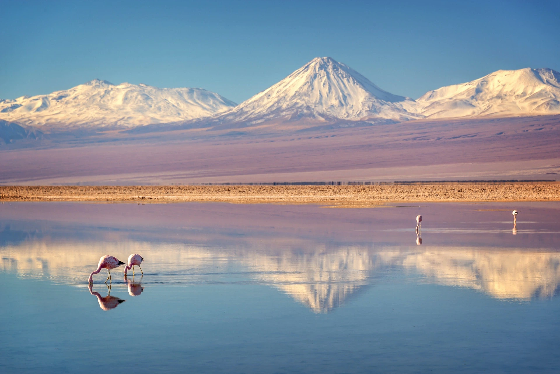 House Image of San Pedro de Atacama: Una Odisea en el Desierto