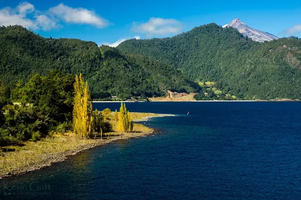 House Image of Alojamiento en Panguipulli: Más que un Destino, una Experiencia