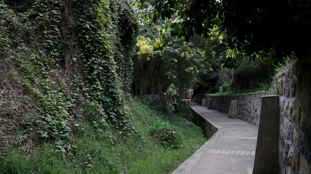 House Image of Paseo Los Duendes, Zapallar: Una Joya Oculta en la Costa Chilena