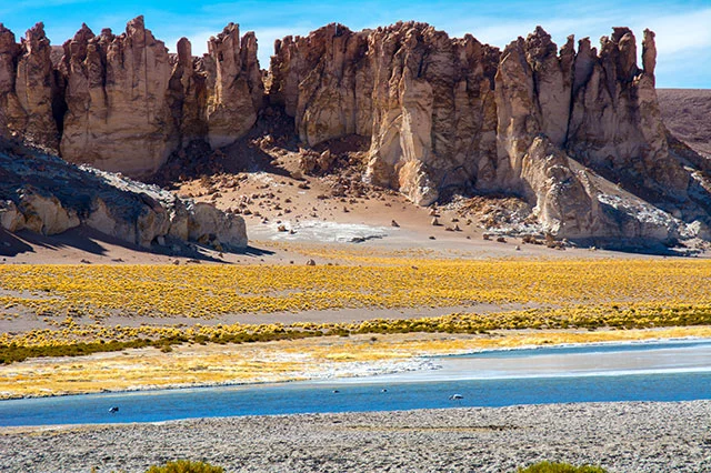 House Image of Explorando el Salar de Tara: Un Viaje a la Maravilla Natural de San Pedro de Atacama