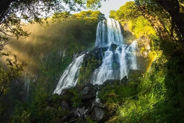 House Image of Sendero Salto Niña Encantada, Panguipulli: Una Joya Natural del Sur de Chile