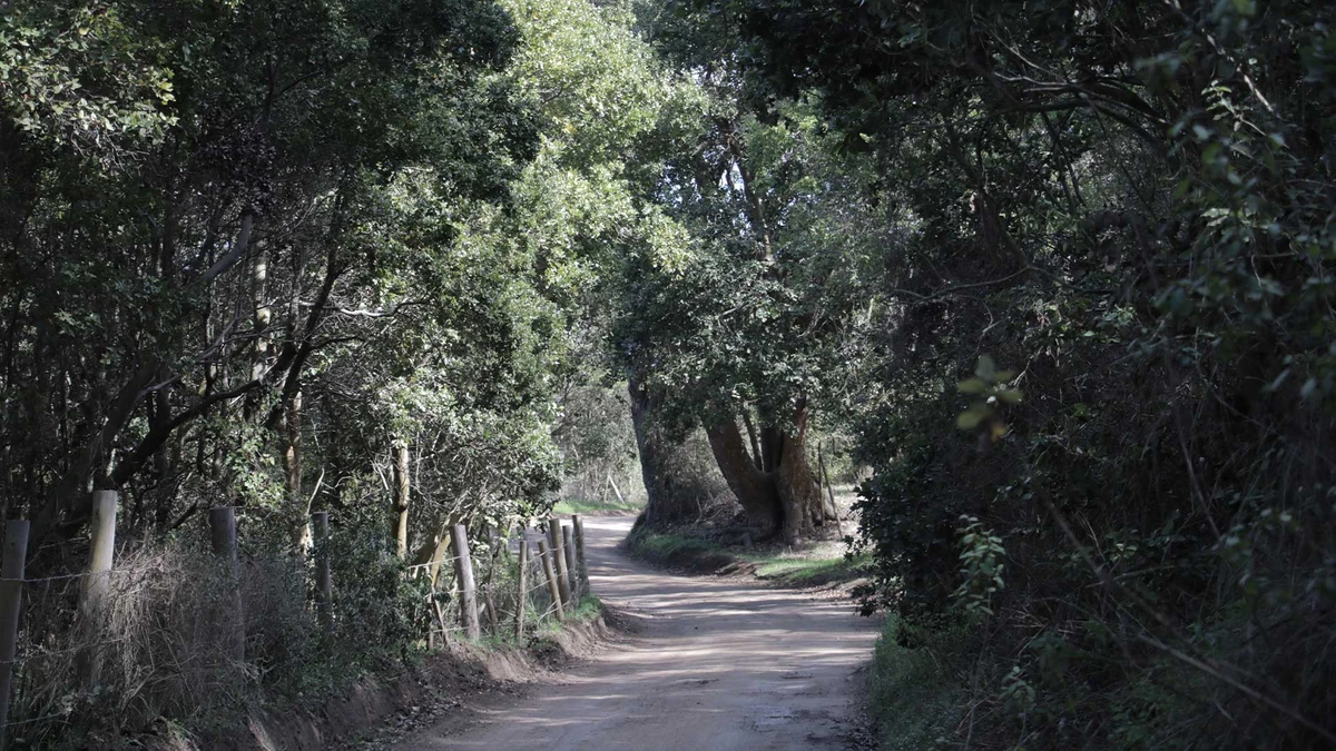 House Image of Siete Portones en Cachagua: Un Destino Imprescindible para los Amantes de la Naturaleza