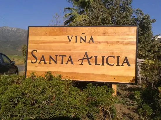 House Image of Viña Santa Alicia, Pirque: El Renacimiento del Terroir Chileno