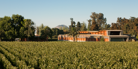 House Image of Viña Almaviva: El Legado de Una Bodega Ícono