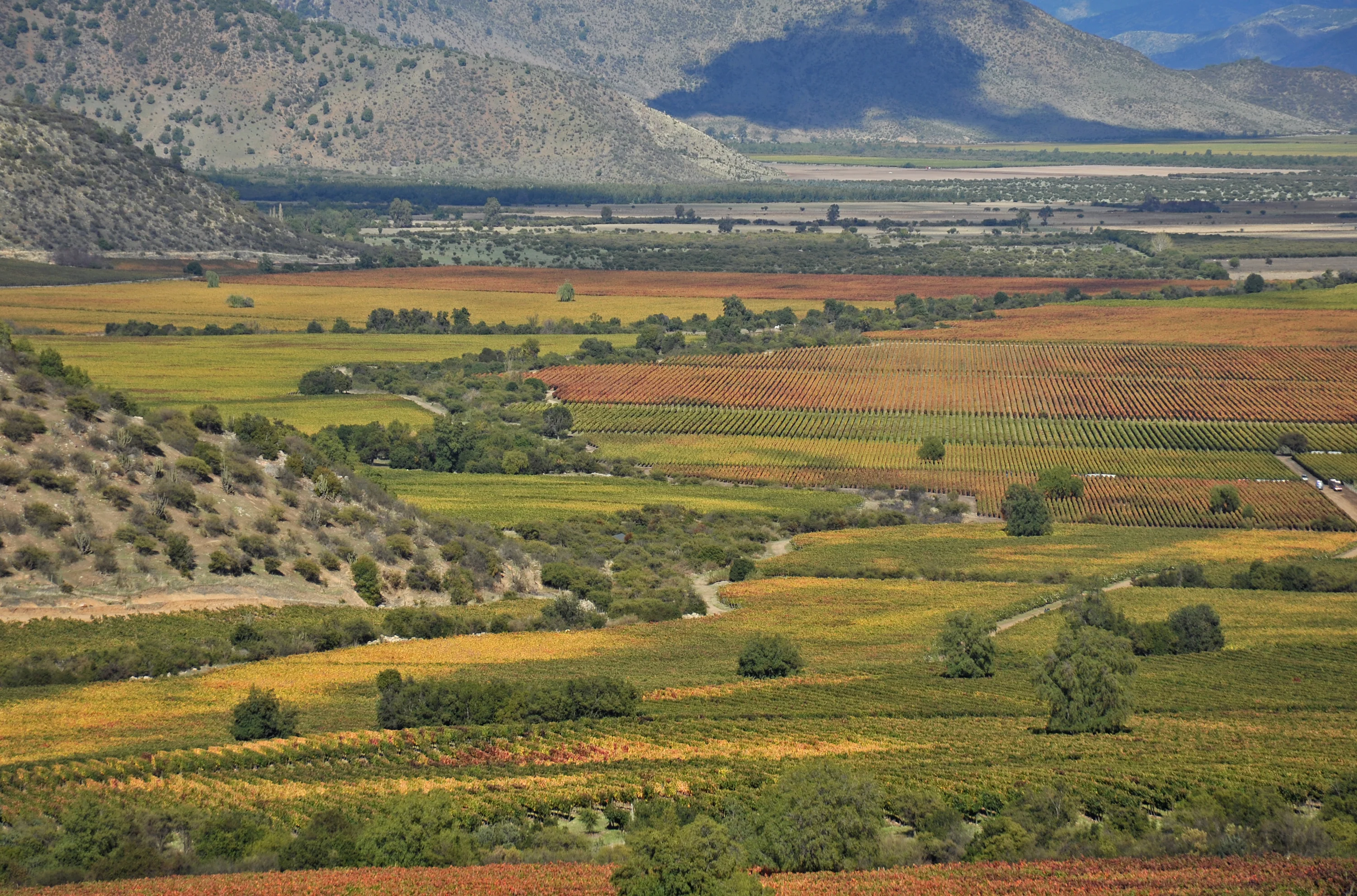 House Image of Viña Caliterra en Santa Cruz: Un Viaje Sensorial por el Valle de Colchagua