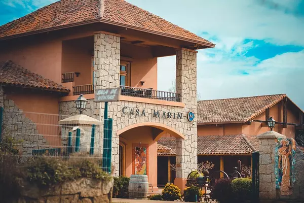 House Image of Viña Casa Marín: Entre Viñedos, Vientos Marinos y Vinos Ultra Premium