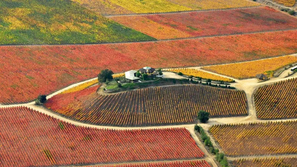 House Image of Viña Santa Cruz: La Epopeya de un Terroir Único en el Valle de Colchagua