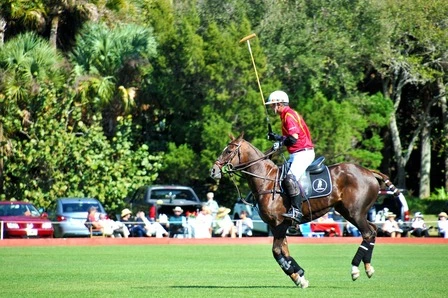 House Image of Club Ecuestre Cachagua: Un Santuario para los Amantes de los Caballos