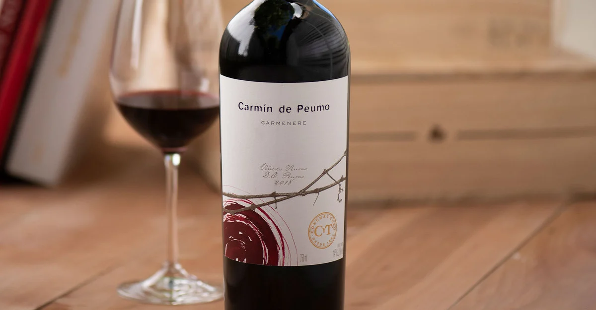 House Image of Concha y Toro Carmín de Peumo Carmenere 2009