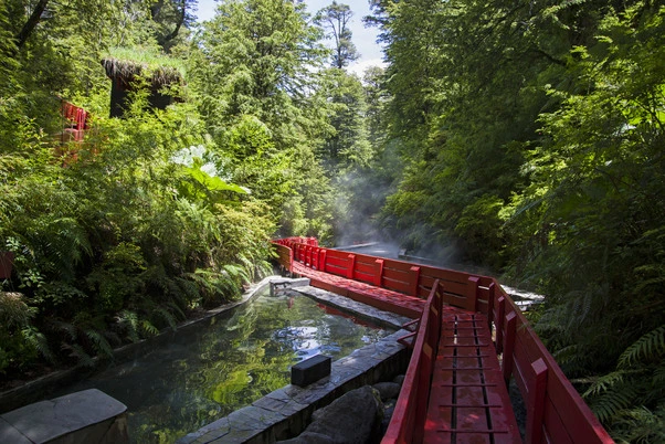 House Image of Best hot springs in southern Chile for a rejuvenating experience