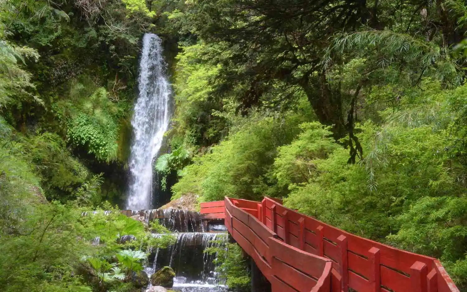 House Image of Termas en Panguipulli: Viaje a las aguas termales